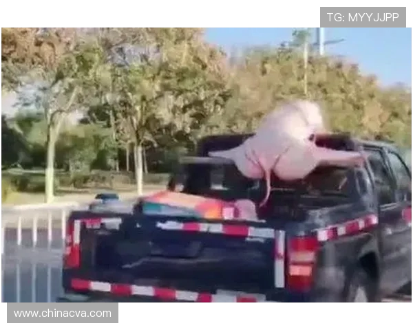 神级词条笑到劈叉!欧巴跳舞帅到窒息,网友:这谁顶得住? 神级词条笑到劈叉!欧巴跳舞帅到窒息,网友:这谁顶得住?